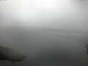 ./images/koeye/fitz-hugh/20160804/fitz-hugh20160804_060004.jpg