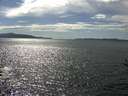 ./images/koeye/fitz-hugh/20160805/fitz-hugh20160805_160003.jpg