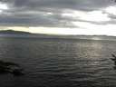 ./images/koeye/fitz-hugh/20160805/fitz-hugh20160805_180003.jpg