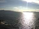 ./images/koeye/fitz-hugh/20160806/fitz-hugh20160806_180002.jpg