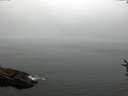 ./images/koeye/fitz-hugh/20160807/fitz-hugh20160807_080004.jpg