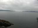 ./images/koeye/fitz-hugh/20160807/fitz-hugh20160807_121504.jpg