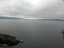 ./images/koeye/fitz-hugh/20160807/fitz-hugh20160807_122103.jpg