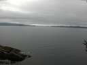 ./images/koeye/fitz-hugh/20160807/fitz-hugh20160807_122702.jpg