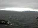 ./images/koeye/fitz-hugh/20160807/fitz-hugh20160807_140003.jpg