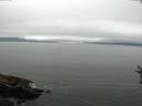 ./images/koeye/fitz-hugh/20160808/fitz-hugh20160808_122101.jpg