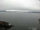 ./images/koeye/fitz-hugh/20160808/fitz-hugh20160808_122401.jpg