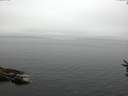./images/koeye/fitz-hugh/20160809/fitz-hugh20160809_080006.jpg