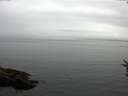 ./images/koeye/fitz-hugh/20160809/fitz-hugh20160809_100002.jpg