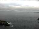 ./images/koeye/fitz-hugh/20160813/fitz-hugh20160813_080006.jpg