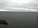 ./images/koeye/fitz-hugh/20160813/fitz-hugh20160813_120006.jpg