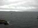 ./images/koeye/fitz-hugh/20160813/fitz-hugh20160813_121501.jpg