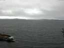 ./images/koeye/fitz-hugh/20160813/fitz-hugh20160813_121802.jpg