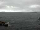./images/koeye/fitz-hugh/20160813/fitz-hugh20160813_122101.jpg