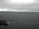 ./images/koeye/fitz-hugh/20160813/fitz-hugh20160813_122402.jpg