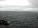 ./images/koeye/fitz-hugh/20160813/fitz-hugh20160813_180004.jpg