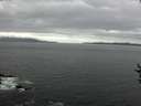 ./images/koeye/fitz-hugh/20160816/fitz-hugh20160816_120003.jpg