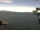 ./images/koeye/fitz-hugh/20160818/fitz-hugh20160818_122401.jpg