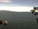 ./images/koeye/fitz-hugh/20160818/fitz-hugh20160818_122702.jpg