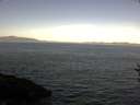 ./images/koeye/fitz-hugh/20160819/fitz-hugh20160819_100003.jpg