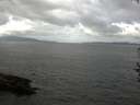 ./images/koeye/fitz-hugh/20160821/fitz-hugh20160821_122702.jpg