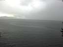 ./images/koeye/fitz-hugh/20160821/fitz-hugh20160821_160002.jpg