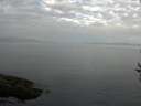 ./images/koeye/fitz-hugh/20160822/fitz-hugh20160822_080002.jpg
