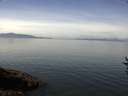 ./images/koeye/fitz-hugh/20160823/fitz-hugh20160823_122702.jpg