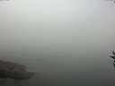 ./images/koeye/fitz-hugh/20160824/fitz-hugh20160824_100001.jpg