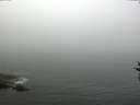 ./images/koeye/fitz-hugh/20160826/fitz-hugh20160826_100003.jpg