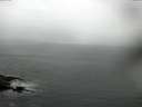 ./images/koeye/fitz-hugh/20160827/fitz-hugh20160827_120003.jpg
