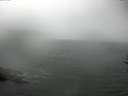 ./images/koeye/fitz-hugh/20160827/fitz-hugh20160827_121502.jpg