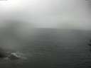 ./images/koeye/fitz-hugh/20160827/fitz-hugh20160827_121802.jpg