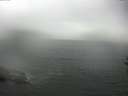 ./images/koeye/fitz-hugh/20160827/fitz-hugh20160827_122102.jpg