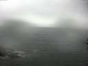./images/koeye/fitz-hugh/20160827/fitz-hugh20160827_122403.jpg