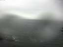 ./images/koeye/fitz-hugh/20160827/fitz-hugh20160827_122703.jpg