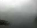 ./images/koeye/fitz-hugh/20160827/fitz-hugh20160827_140003.jpg