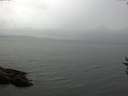 ./images/koeye/fitz-hugh/20160828/fitz-hugh20160828_080001.jpg