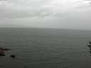 ./images/koeye/fitz-hugh/20160828/fitz-hugh20160828_122103.jpg