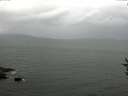 ./images/koeye/fitz-hugh/20160828/fitz-hugh20160828_122702.jpg