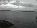 ./images/koeye/fitz-hugh/20160829/fitz-hugh20160829_060002.jpg