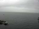 ./images/koeye/fitz-hugh/20160829/fitz-hugh20160829_100002.jpg