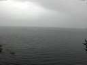 ./images/koeye/fitz-hugh/20160829/fitz-hugh20160829_121802.jpg
