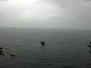 ./images/koeye/fitz-hugh/20160829/fitz-hugh20160829_122402.jpg