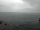 ./images/koeye/fitz-hugh/20160829/fitz-hugh20160829_122703.jpg