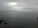 ./images/koeye/fitz-hugh/20160829/fitz-hugh20160829_140003.jpg