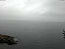 ./images/koeye/fitz-hugh/20160829/fitz-hugh20160829_160002.jpg