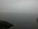 ./images/koeye/fitz-hugh/20160830/fitz-hugh20160830_080003.jpg