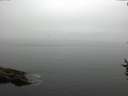 ./images/koeye/fitz-hugh/20160830/fitz-hugh20160830_100002.jpg