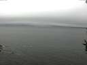 ./images/koeye/fitz-hugh/20160830/fitz-hugh20160830_121502.jpg